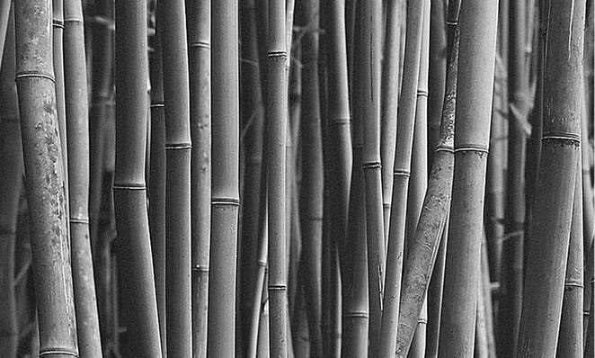 100 великих загадок природы - i_037.jpg