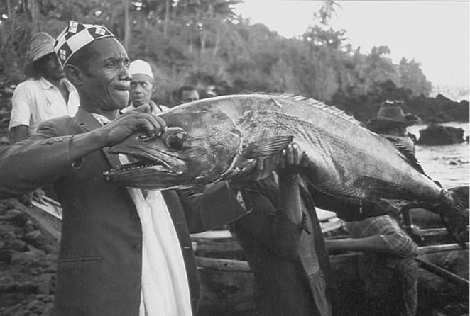 100 великих загадок природы - i_046.jpg