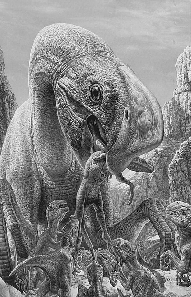 100 великих загадок природы - i_049.jpg