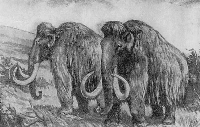 100 великих загадок природы - i_050.jpg