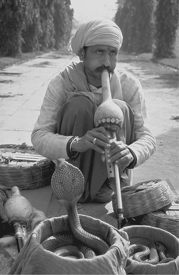 100 великих загадок природы - i_064.jpg