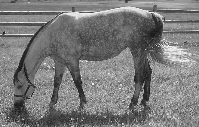 100 великих загадок природы - i_067.jpg