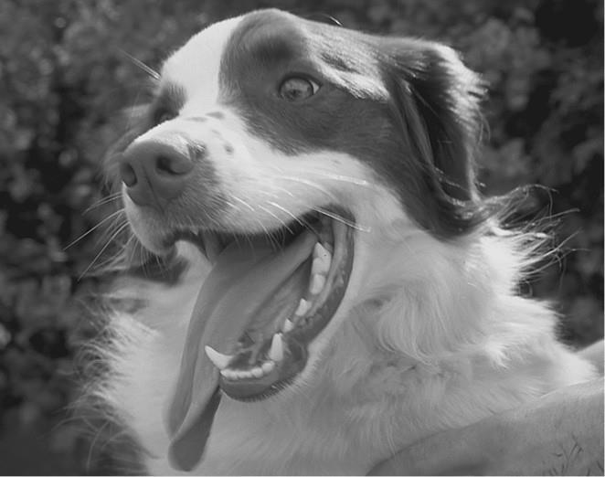 100 великих загадок природы - i_077.jpg