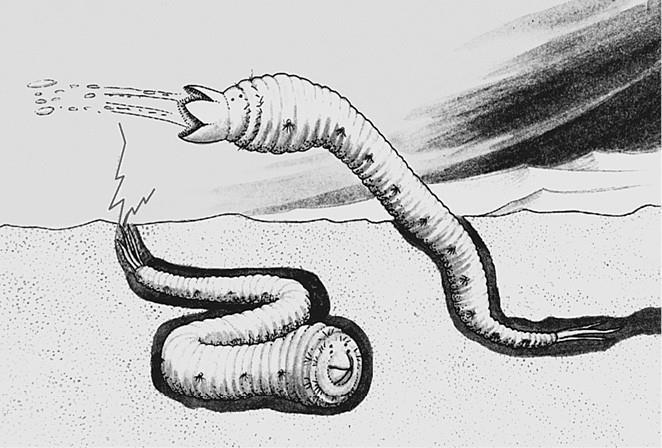 100 великих загадок природы - i_083.jpg