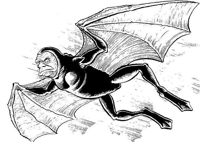 100 великих загадок природы - i_089.jpg