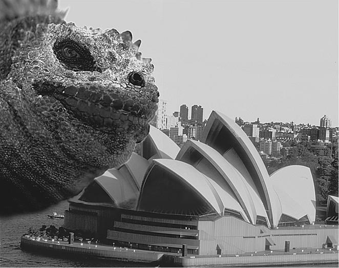 100 великих загадок природы - i_092.jpg