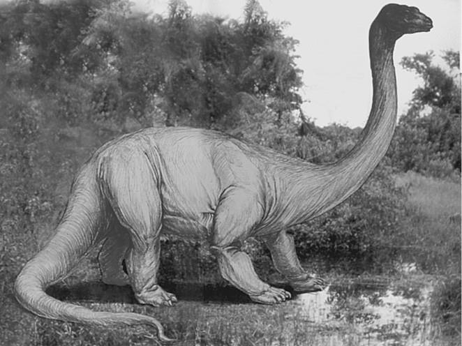 100 великих загадок природы - i_095.jpg