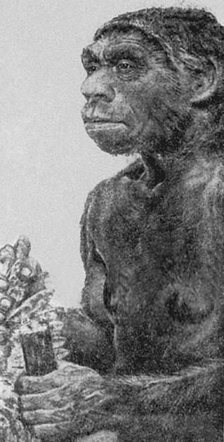 100 великих загадок природы - i_098.jpg