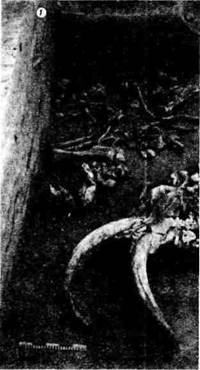 Мифы Цивилизации - _188.jpg