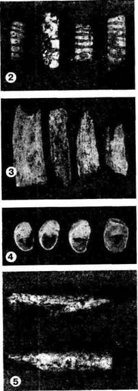Мифы Цивилизации - _189.jpg
