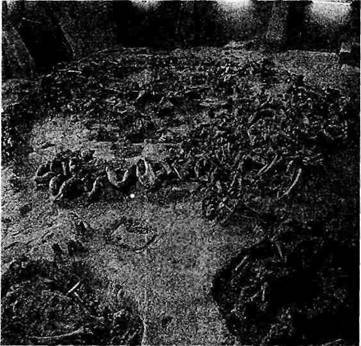 Мифы Цивилизации - _190.jpg