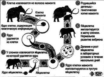 Мифы Цивилизации - _194.jpg