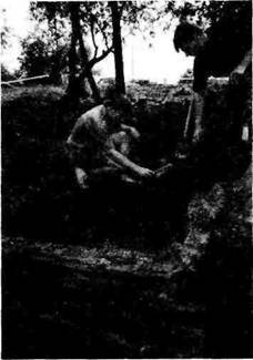 Мифы Цивилизации - _21.jpg