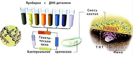 Юный техник, 2005 № 06 - _30.jpg