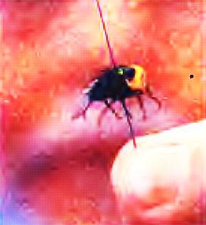 Юный техник, 2004 № 11 - _64.jpg