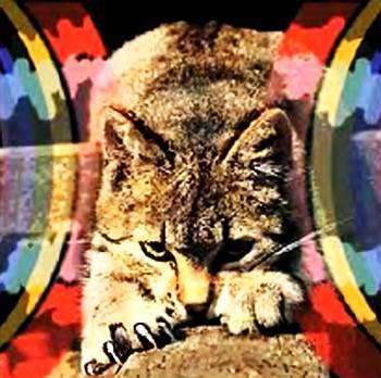 Юный техник, 2007 № 03 - _41.jpg