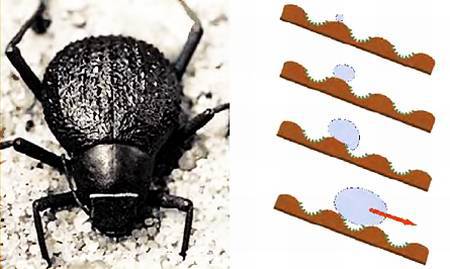 Юный техник, 2007 № 10 - _28.jpg_0