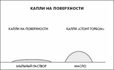 Как понять сложные законы физики. 100 простых и увлекательных опытов для детей и их родителей - _02.png