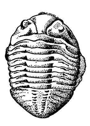 Борис Александрович Трофимов - _35.jpg