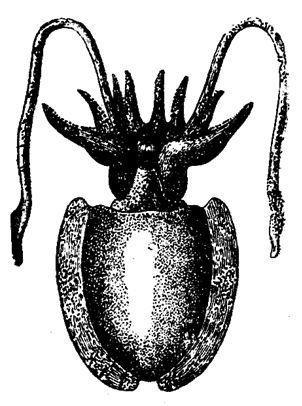 Борис Александрович Трофимов - _39.jpg