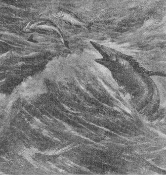 Борис Александрович Трофимов - _62.jpg