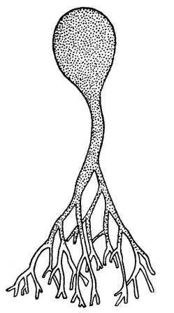 Борис Александрович Трофимов - _28.jpg