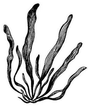 Борис Александрович Трофимов - _29.jpg