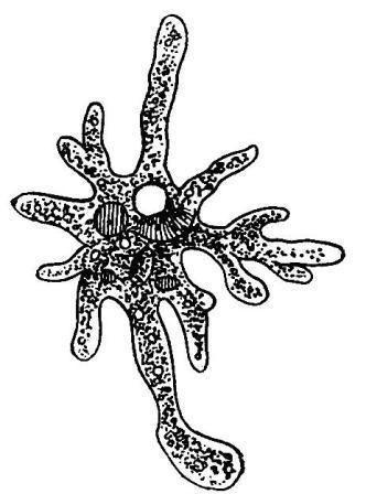 Борис Александрович Трофимов - _30.jpg