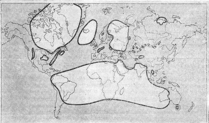 Борис Александрович Трофимов - _38.jpg