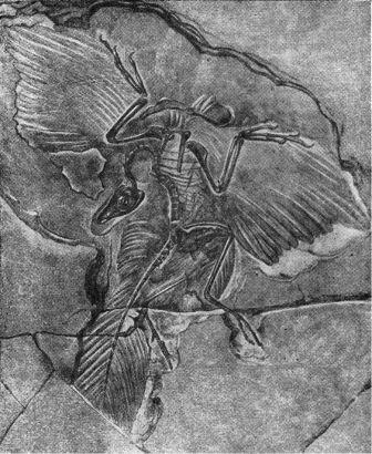 Борис Александрович Трофимов - _66.jpg