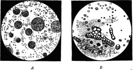 Борис Александрович Трофимов - _8.jpg