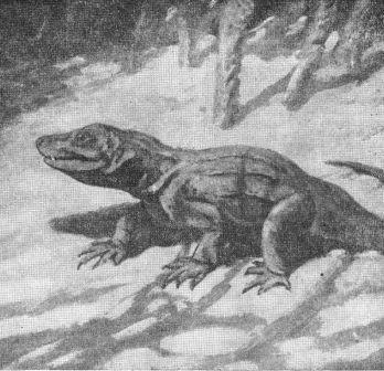 Борис Александрович Трофимов - _54.jpg