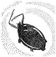 Аквариум в школе - _39.jpg