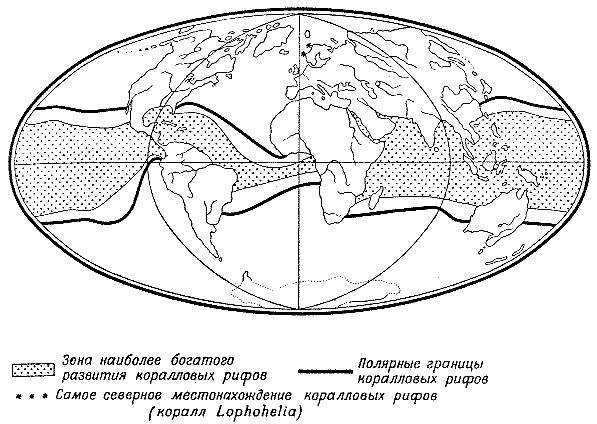 Море живёт - _31.jpg