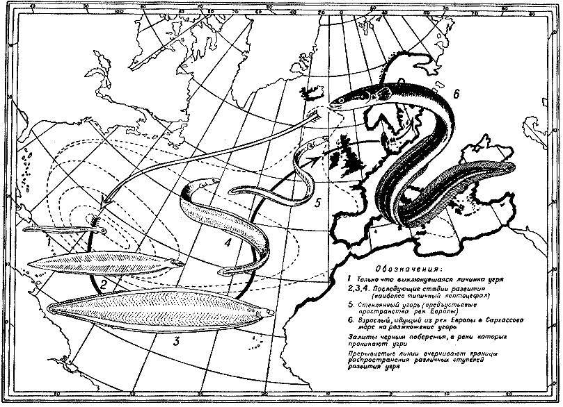 Море живёт - _53.jpg