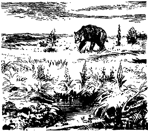 Великие открытия (илл.) - i_004.png