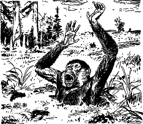 Великие открытия (илл.) - i_005.png