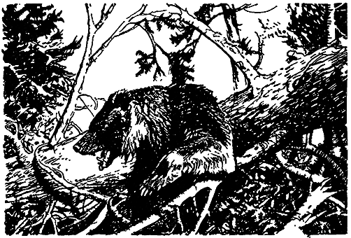 Великие открытия (илл.) - i_074.png