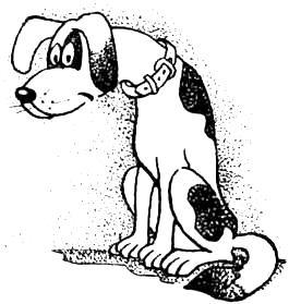 Про умного Карла - imgDA84.jpg