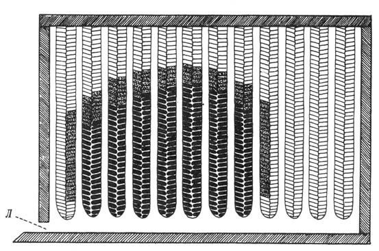 Из жизни пчёл - _23.jpg