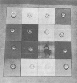 Из жизни пчёл - _49.jpg