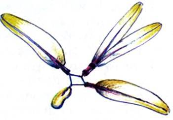 Юный техник, 2009 № 05 - _43.jpg