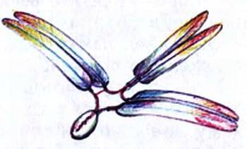 Юный техник, 2009 № 05 - _44.jpg