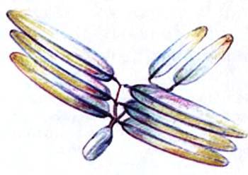 Юный техник, 2009 № 05 - _45.jpg