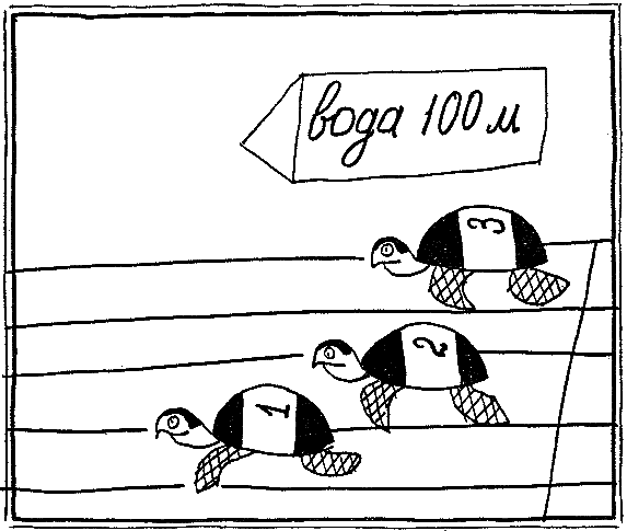 От амёбы до гориллы, или Как мозг учился думать - doc2fb_image_03000016.png