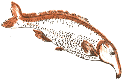 Занимательная зоология - doc2fb_image_03000032.png