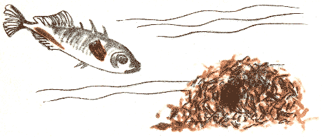 Занимательная зоология - doc2fb_image_03000058.png