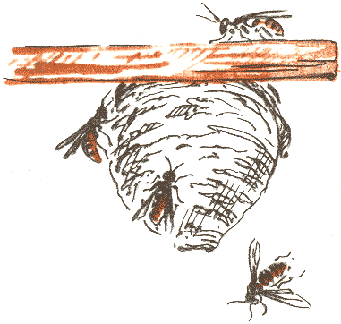 Занимательная зоология - doc2fb_image_03000059.png