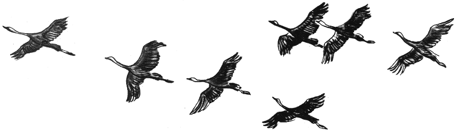 Занимательная зоология - doc2fb_image_03000067.png