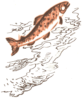 Занимательная зоология - doc2fb_image_03000068.png